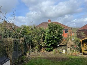 PHOTO-2024-08-26-19-07-09 2