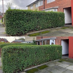 PHOTO-2024-08-26-19-16-05