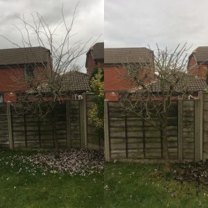 PHOTO-2024-08-26-19-16-06 2