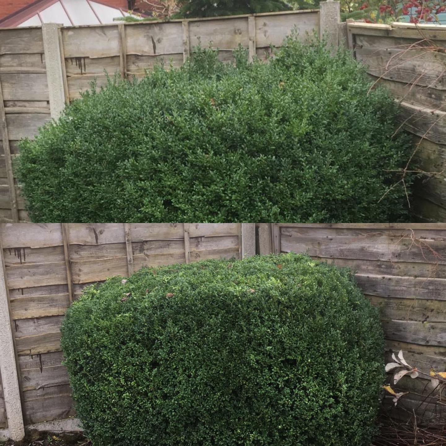 PHOTO-2024-08-26-19-16-07