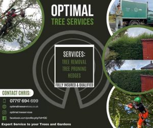 PHOTO-2024-08-26-19-22-51