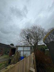 PHOTO-2024-08-26-19-22-52 2