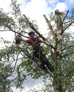 PHOTO-2024-08-26-19-22-52 3