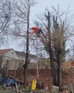 PHOTO-2024-08-26-19-22-53 2