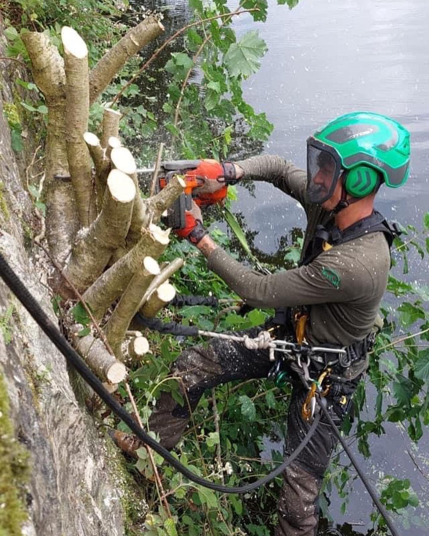 PHOTO-2024-08-26-19-22-54