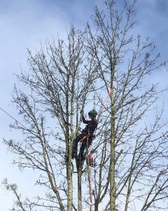 PHOTO-2024-08-26-19-22-55 2