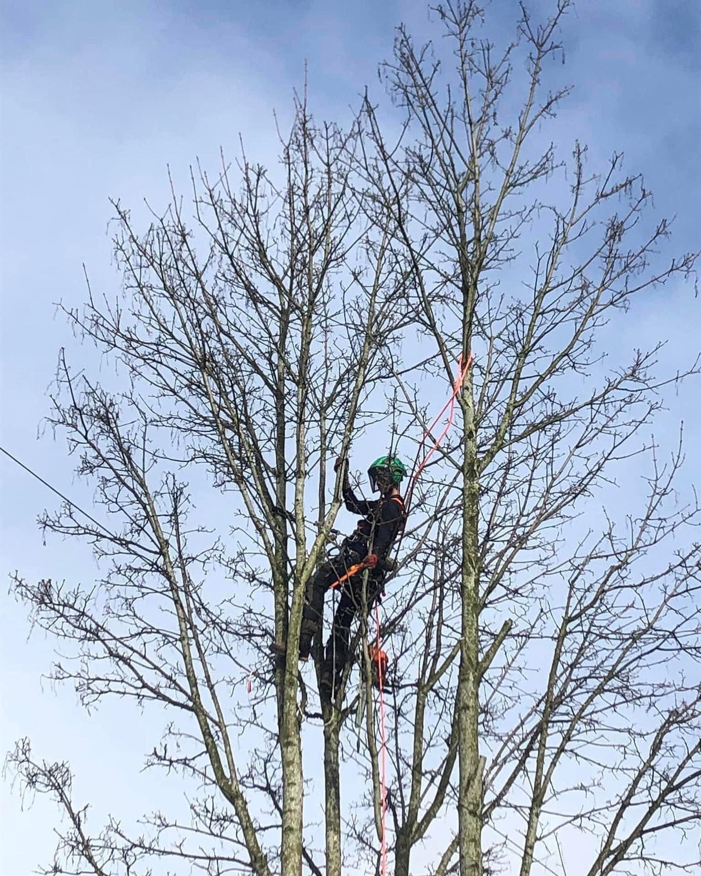 PHOTO-2024-08-26-19-22-55 2