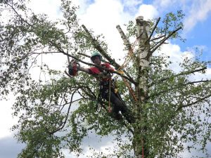 PHOTO-2024-08-26-19-22-57 2