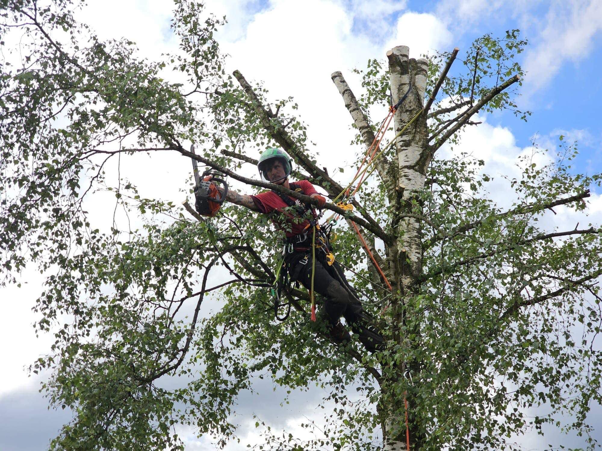 PHOTO-2024-08-26-19-22-57 2