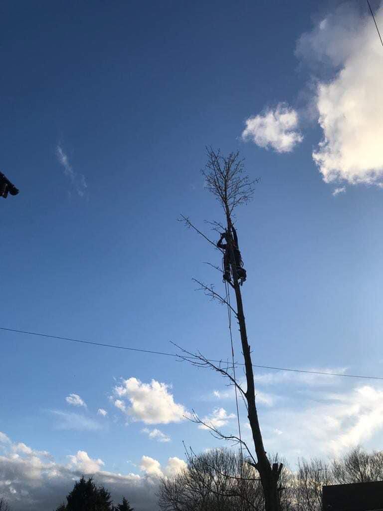 PHOTO-2024-08-26-19-22-58 2