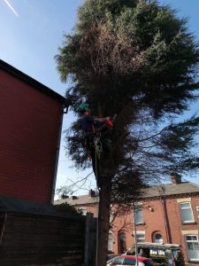 PHOTO-2024-08-26-19-22-58