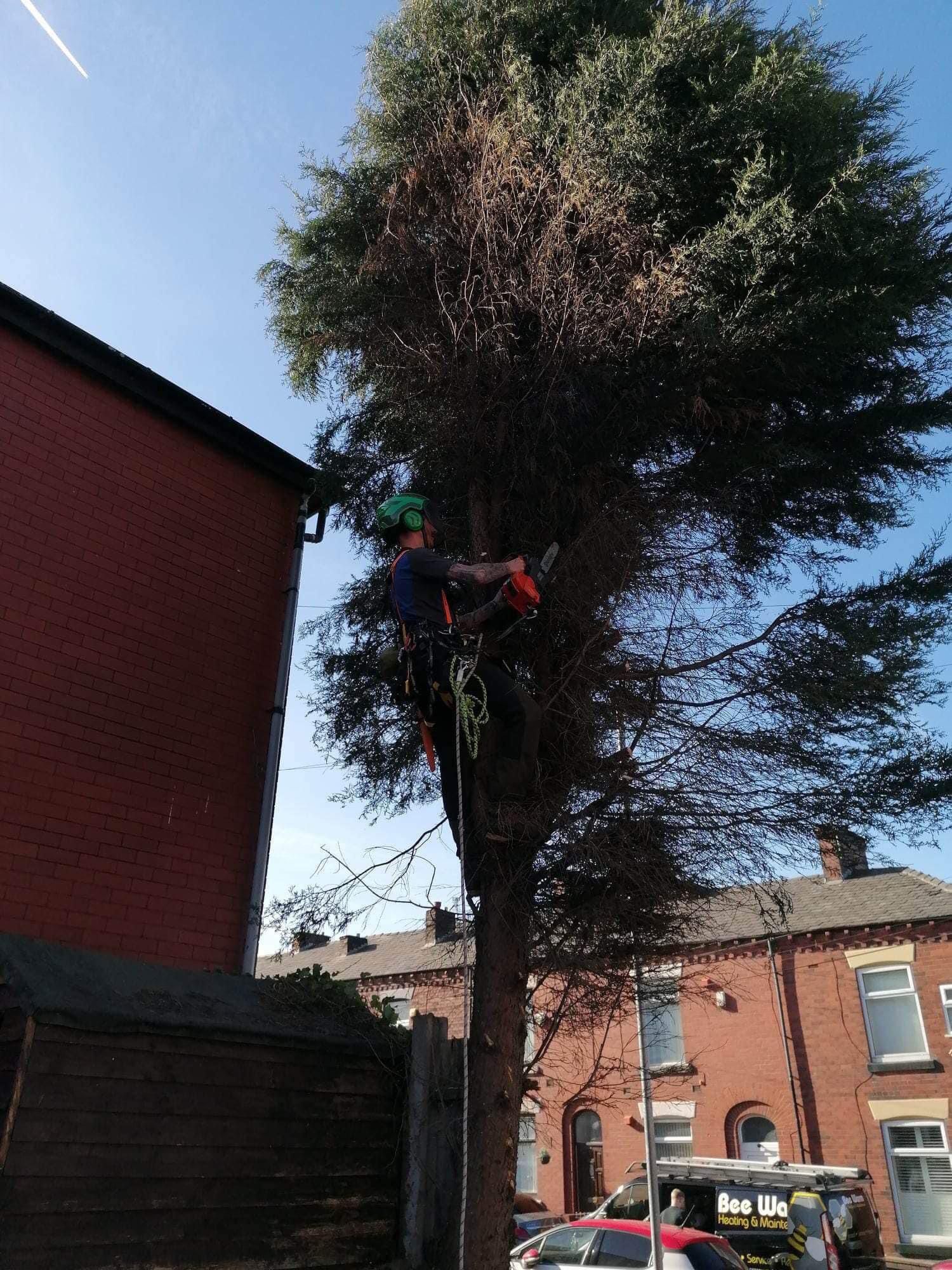 PHOTO-2024-08-26-19-22-58