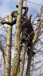 PHOTO-2024-08-26-19-22-59