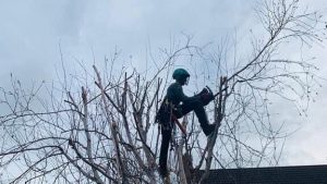 PHOTO-2024-08-26-19-22-59 2