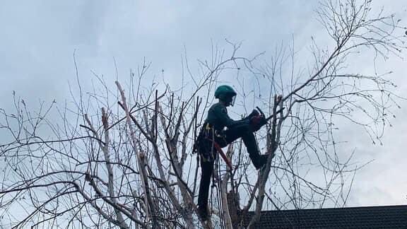 PHOTO-2024-08-26-19-22-59 2