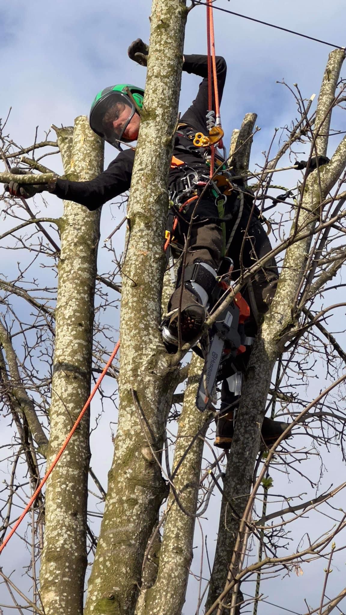 PHOTO-2024-08-26-19-22-59