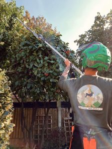 PHOTO-2024-08-26-19-23-00 2