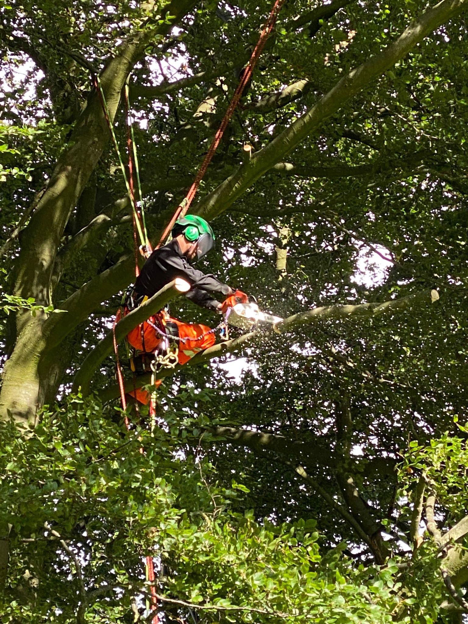 PHOTO-2024-08-26-19-23-02 2